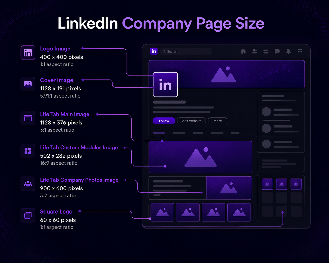 LinkedIn company page image sizes 2026 infographic with logo 300 by 300 pixels and cover 1128 by 191 pixels